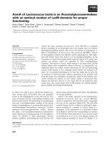 Tài liệu Báo cáo khoa học: AcmA of Lactococcus lactis is an N-acetylglucosaminidase with an optimal number of LysM domains for proper functioning ppt