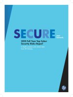 Tài liệu 2010 Full Year Top Cyber Security Risks Report doc