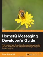 Tài liệu HornetQ Messaging Developer''''s Guide pptx