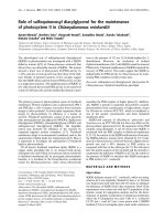 Tài liệu Báo cáo Y học: Role of sulfoquinovosyl diacylglycerol for the maintenance of photosystem II in Chlamydomonas reinhardtii ppt