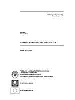 Tài liệu TOWARDS A LIVESTOCK SECTOR STRATEGY pdf