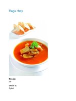Tài liệu Ragu chay pptx