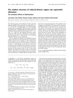 Tài liệu Báo cáo khoa học: The solution structure of reduced dimeric copper zinc superoxide dismutase doc