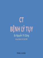 Tài liệu CT BỆNH LÝ TỤY pptx