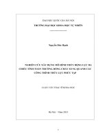 NGHIÊN CỨU XÂY DỰNG MÔ HÌNH THỦY ĐỘNG LỰC BA CHIỀU TÍNH TOÁN TRƯỜNG DÒNG CHẢY XUNG QUANH CÁC CÔNG TRÌNH THỦY LỰC PHỨC TẠP
