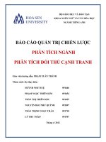 BÁO CÁO QUẢN TRỊ CHIẾN LƯỢC PHÂN TÍCH NGÀNH PHÂN TÍCH ĐỐI THỦ CẠNH TRANH