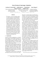 Tài liệu Báo cáo khoa học: 