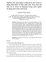 Nghiên cứu ứng dụng xỉ thải pyrit của công ty supe phốt phát và hóa chất lâm thao làm vật liệu xử lý asen và mangan trong nước ngầm sử dụng làm nước sinh hoạt