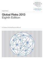Tài liệu Global Risks 2013 Eighth Edition doc