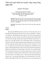 Tính toán quá trình lan truyền sóng trong rừng ngập mặn