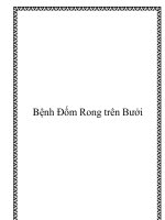 Tài liệu Bệnh Đốm Rong trên Bưởi potx