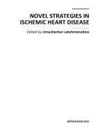 Tài liệu Novel Strategies in Ischemic Heart Disease Edited by Umashankar Lakshmanadoss pdf