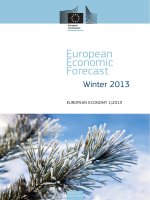 Tài liệu European Economic Forecast Winter 2013 pdf