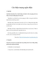 Tài liệu Các hiện tượng ngôn điệu ppt