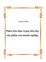 LUẬN VĂN Phân tích thực trạng tiêu thụ sản phẩm của công ty điện máy – xe đạp – xe máy