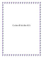 Tài liệu Những bài ca dao đề tài con dâu - con rể pdf