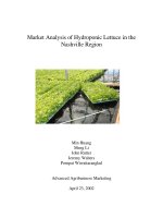 Tài liệu Market Analysis of Hydroponic Lettuce in the Nashville Region pdf