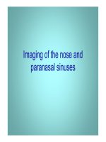 Tài liệu Imaging of the nose and paranasal sinuses pdf