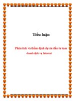 Phân tích và thẩm định dự án đầu tư kinh doanh dịch vụ Internet