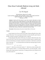 Giao thoa coulomb hadron trong mô hình eikonal