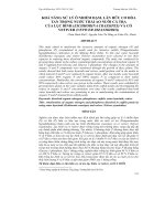 Tài liệu KHẢ NĂNG XỬ LÝ Ô NHIỄM ĐẠM, LÂN HỮU CƠ HÒA TAN TRONG NUỚC THẢI AO NUÔI CÁ TRA CỦA LỤC BÌNH (EICHHORINA CRASSIPES) VÀ CỎ VETIVER (VETIVER ZIZANIOIDES) ppt