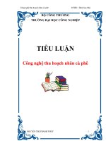 Tài liệu TIỂU LUẬN: Công nghệ thu hoạch nhân cà phê ppt