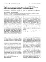Tài liệu Báo cáo khoa học: Regulation of connective tissue growth factor (CTGF/CCN2) gene transcription and mRNA stability in smooth muscle cells Involvement of RhoA GTPase and p38 MAP kinase and sensitivity to actin dynamics docx