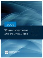 Tài liệu World Investment and Political Risk 2009 docx