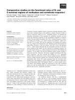 Tài liệu Báo cáo khoa học: Comparative studies on the functional roles of N- and C-terminal regions of molluskan and vertebrate troponin-I pdf