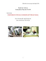 Tài liệu TIỂU LUẬN: CHẨN ĐOÁN CÚM GIA CẦM BẰNG KỸ THUẬT ELISA docx