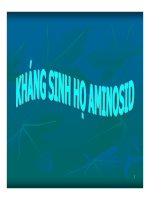 Tài liệu Kháng sinh họ aminosid pdf