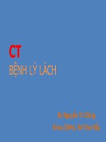 Tài liệu CT BỆNH LÝ LÁCH pot