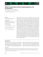 Tài liệu Báo cáo khoa học: Roles of heat shock factors in gametogenesis and development pptx