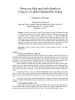 Nâng cao hiệu quả kinh doanh tại công ty cổ phần habada bắc giang