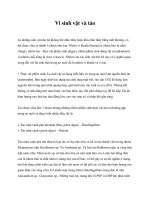 Tài liệu Vi sinh vật và tảo doc