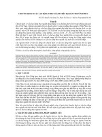 Tài liệu Báo cáo 