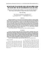 Tài liệu BÁO CÁO 