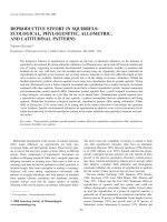 Tài liệu REPRODUCTIVE EFFORT IN SQUIRRELS: ECOLOGICAL, PHYLOGENETIC, ALLOMETRIC, AND LATITUDINAL PATTERNS pptx