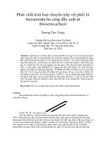 Phức chất kim loại chuyển tiếp với phối tử benzamidin ba càng dẫn xuất từ thiosemcacbazit