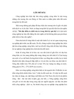 nội dung của công nhiệp hoá hiện đaị hoá nước ta