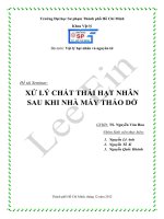 Tài liệu XỬ LÝ CHẤT THẢI HẠT NHÂN SAU KHI NHÀ MÁY THÁO DỞ docx