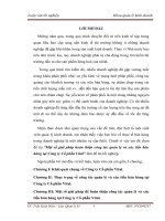 một số giải pháp hoàn thiện công tác quản lý và xúc tiến bán hàng tại công ty cổ phần vital