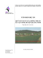 Tài liệu VĂN BẢN DỰ ÁN QUỸ SẢN XUẤT LÚA GIỐNG THUẦN XÃ VẠN NINH, HUYỆN QUẢNG NINH pptx