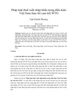 Pháp luật thuế xuất nhập khẩu trong điều kiện việt nam thực thi cam kết WTO