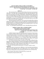 Tài liệu BÁO CÁO 