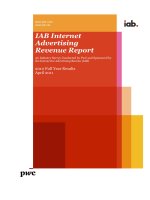 Tài liệu IAB Internet Advertising Revenue Report: An Industry Survey Conducted by PwC and Sponsored by the Interactive Advertising Bureau (IAB) doc
