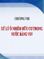 Tài liệu XỬ LÝ Ô NHIỄM HỮU CƠ TRONG NƯỚC BẰNG VSV pptx