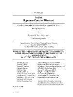 Tài liệu In the Supreme Court of Missouri ppt