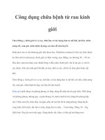 Tài liệu Công dụng chữa bệnh từ rau kinh giới pptx