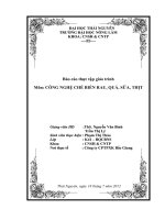 công nghệ chế biến rau, quả, sữa, thịt tại công ty cổ phần thực phẩm xuất khẩu bắc giang